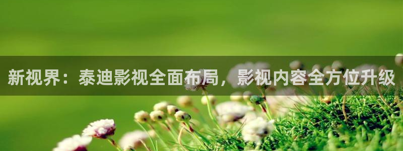 全能侦探社电影在线观看免费完整版：新视界：泰迪影视全面布局，影视内容全方位升级