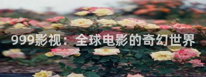 全能影视剧在线观看