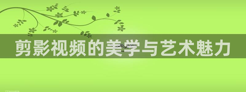 全能影音：剪影视频的美学与艺术魅力