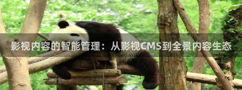 全能影视2025年最新版本：影视内容的智能管理：从影视CMS到全景内容生态