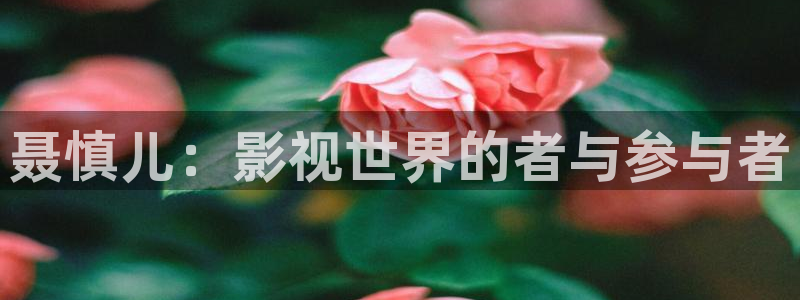 全能影视免费下载