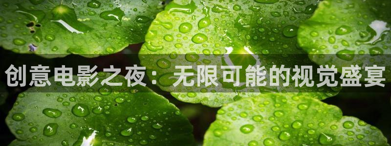 全能电影播放器：创意电影之夜：无限可能的视觉盛宴