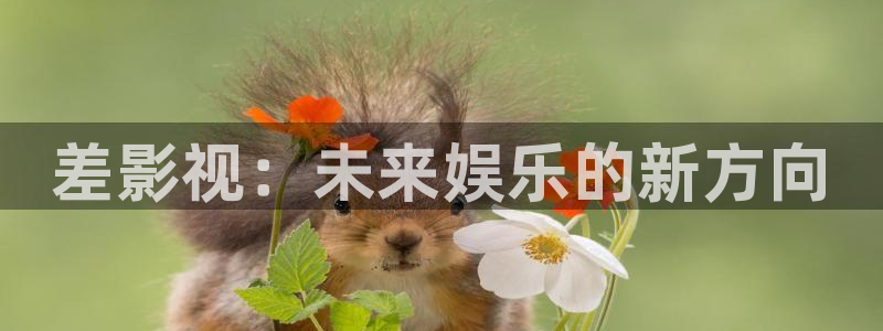 全能影视官网网站入口