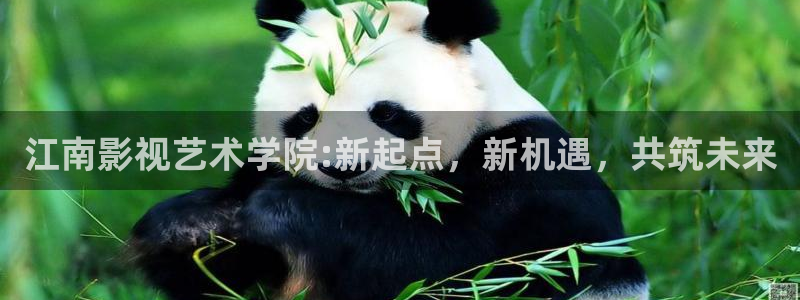 全能影视2025年最新版本