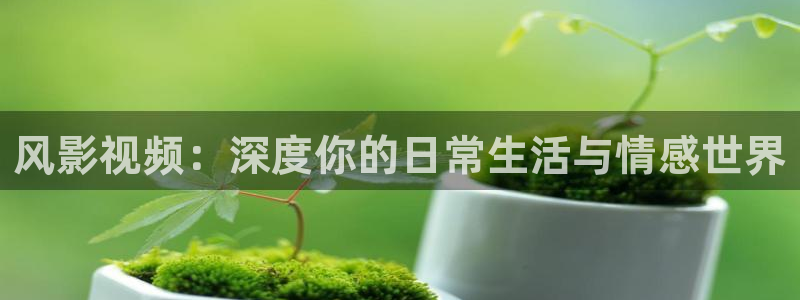 全能影视手机版官网：风影视频：深度你的日常生活与情感世界