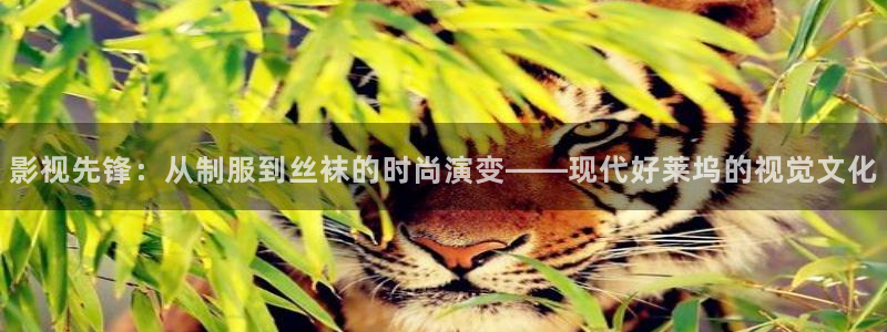 狂飙全能影视