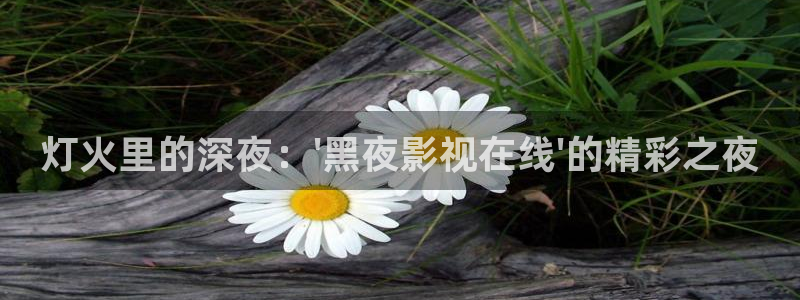 全能影视大全